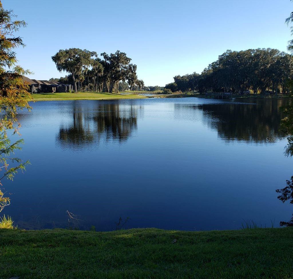 DEL WEBB ORLANDO PH 1 - Residential