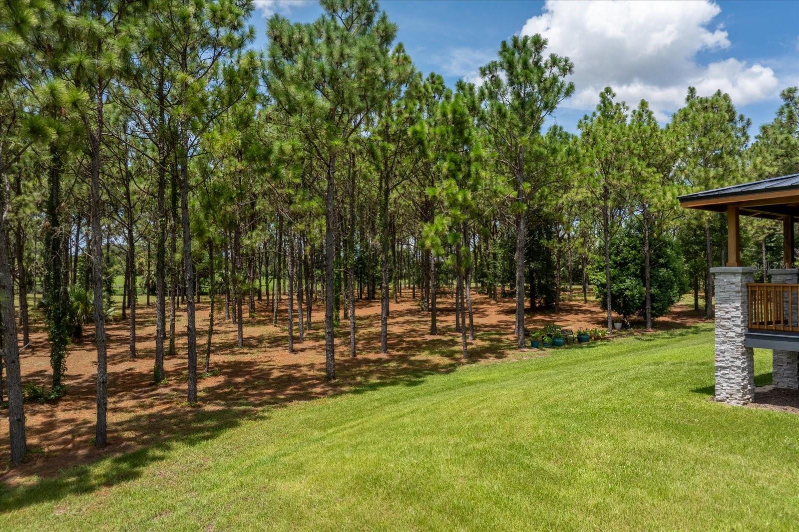 5208 EFFIE DRIVE