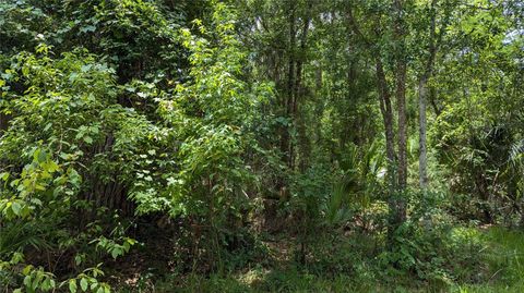 Lot 7 NE HUNTER CIRCLE MICANOPY FL 32667