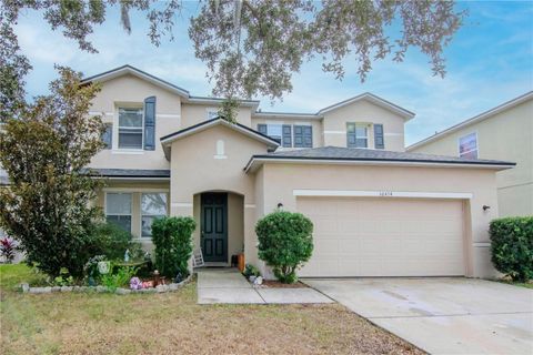 A home in RIVERVIEW