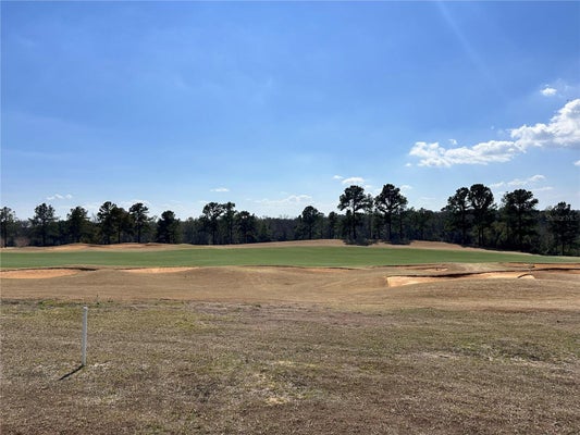 16222 VETTA DR, BELLA COLLINA, FL 34756 - Image 2f481f752d11d5fd0701c32595caec47/18686735