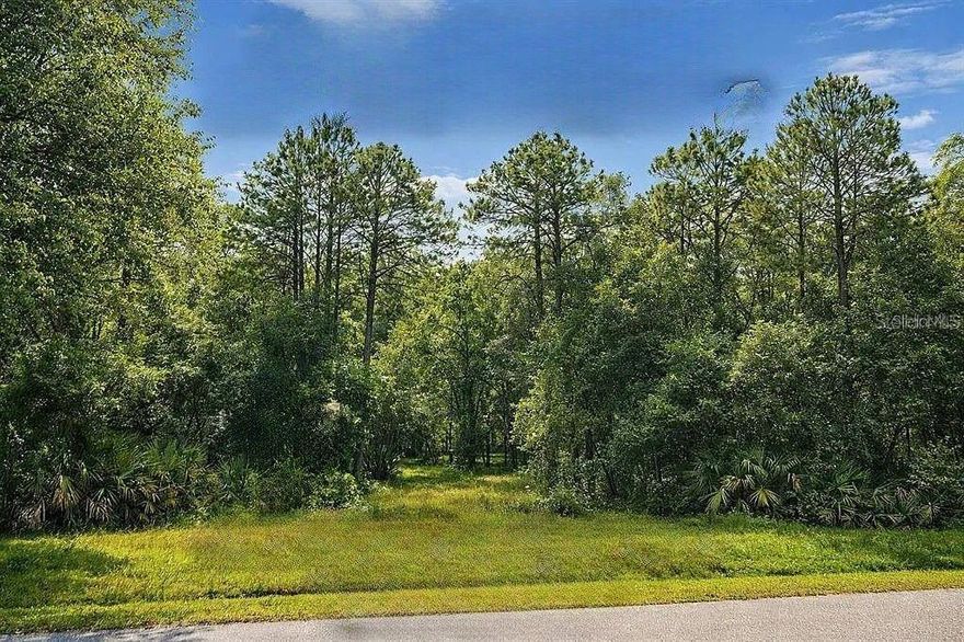 Prime North Port location with excellent access to I-75 and nearby amenities. Enjoy a quiet suburban setting with no HOA restrictions, offering flexibility for future plans. Conveniently located near multiple shopping options including Publix, Aldi, Costco, and local farmers markets.

The area is known for its strong lifestyle appeal, with proximity to Wellen Park featuring an 80-acre lake, waterfront dining, retail shops, community events, live music at the Yard, and recreational amenities. Outdoor enthusiasts will appreciate easy access to the Legacy Trail and North Port trail system for biking and walking.

Nearby schools include College Preparatory Academy at Wellen Park, Imagine Charter School, and public school options. Sports and entertainment are easily accessible, with several Major League Baseball Spring Training facilities located within a short drive.

Warm Mineral Springs, the only natural warm spring in Florida and a nationally registered historic site, is nearby and offers a unique year-round wellness experience. Beaches including Venice, Englewood, and Siesta Key are approximately 20–40 minutes away.

The property is centrally located between Sarasota and Fort Myers, providing access to regional dining, museums, airports, and nightlife. Future area growth includes a planned large-scale mixed-use development along US-41 and West Villages Parkway, adding long-term value potential.

A great opportunity to own property in a growing Florida market with lifestyle, convenience, and future development all nearby.

Note: Some of the listing photos are virtually staged and meant to show ideas and possibilities of what can be built or created on the land