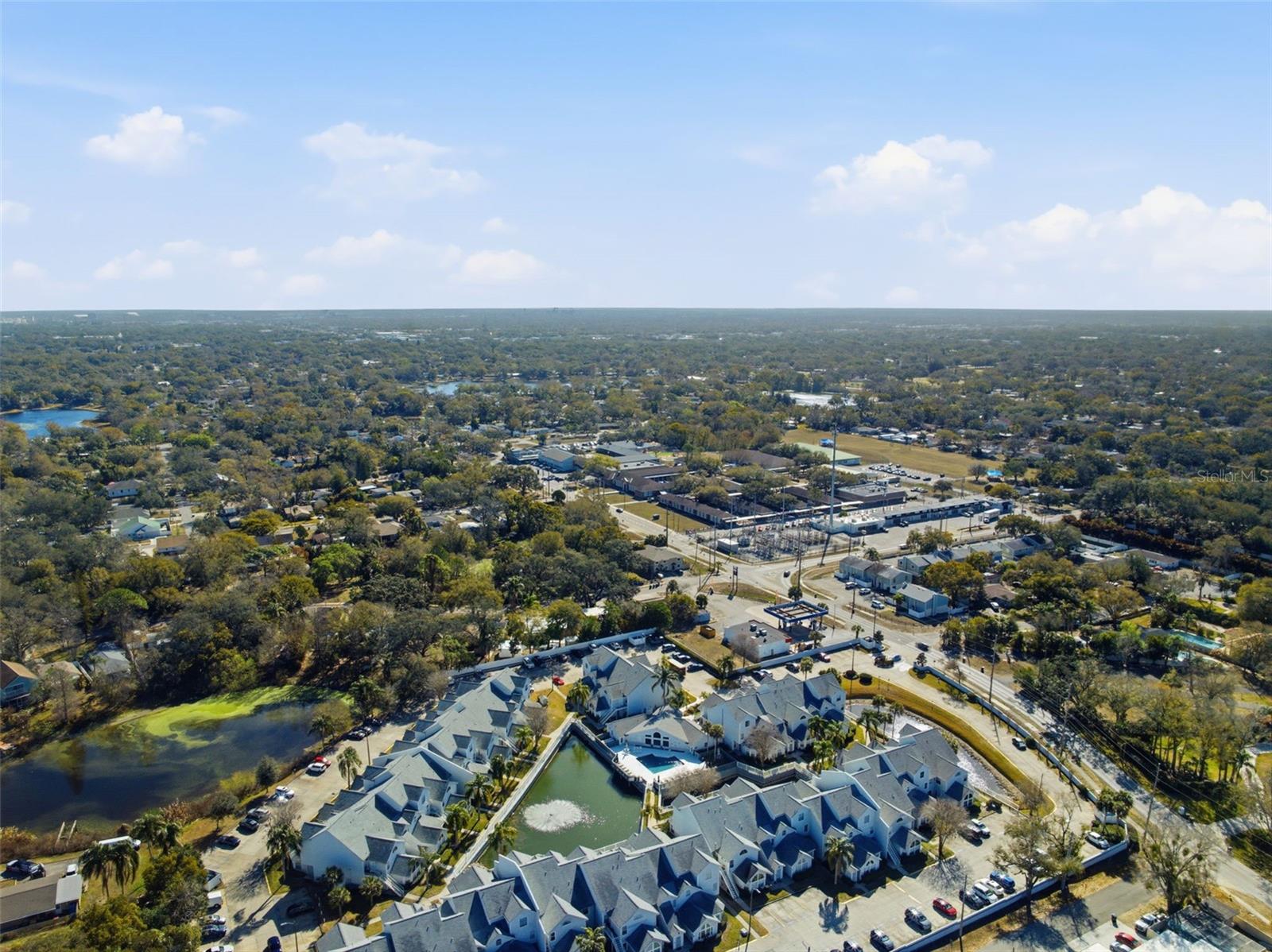 CARROLLWOOD GABLES A CONDO - Residential