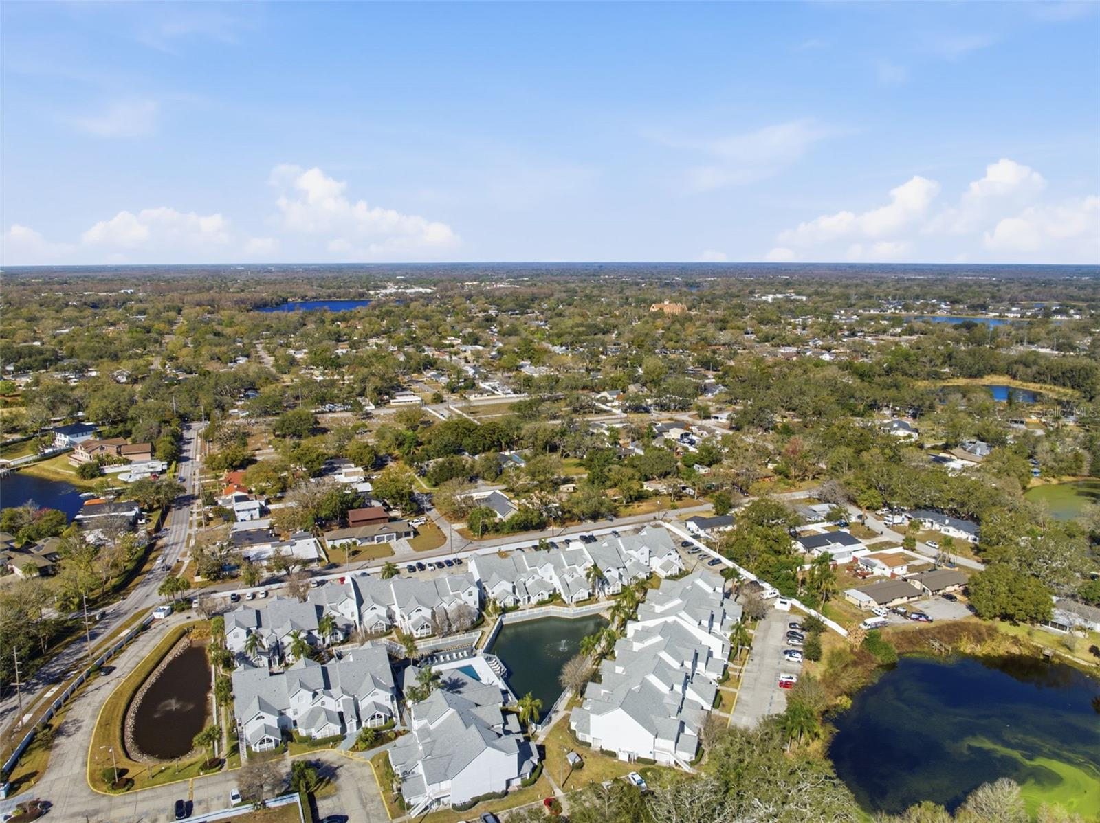 CARROLLWOOD GABLES A CONDO - Residential