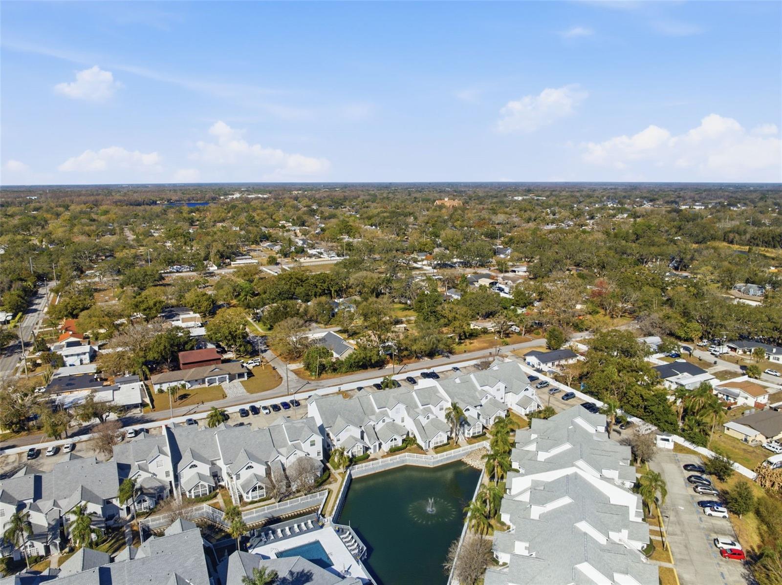 CARROLLWOOD GABLES A CONDO - Residential
