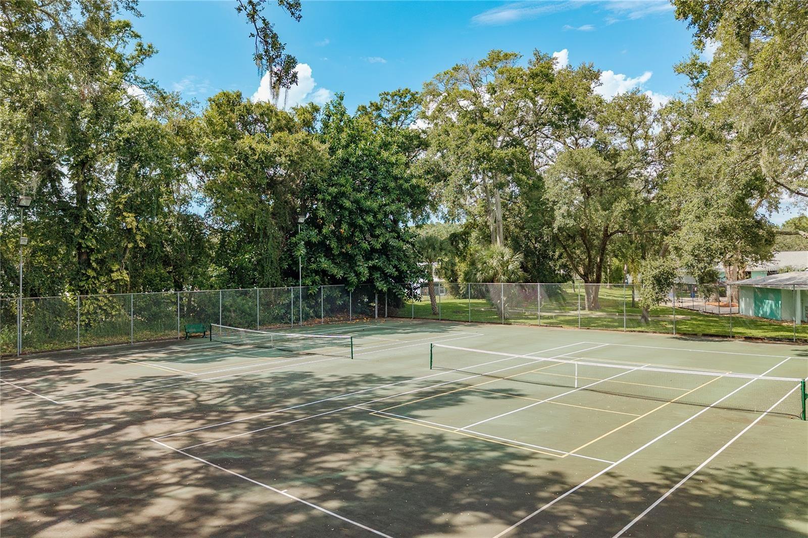 FOX LAKE TWNHMS - Residential