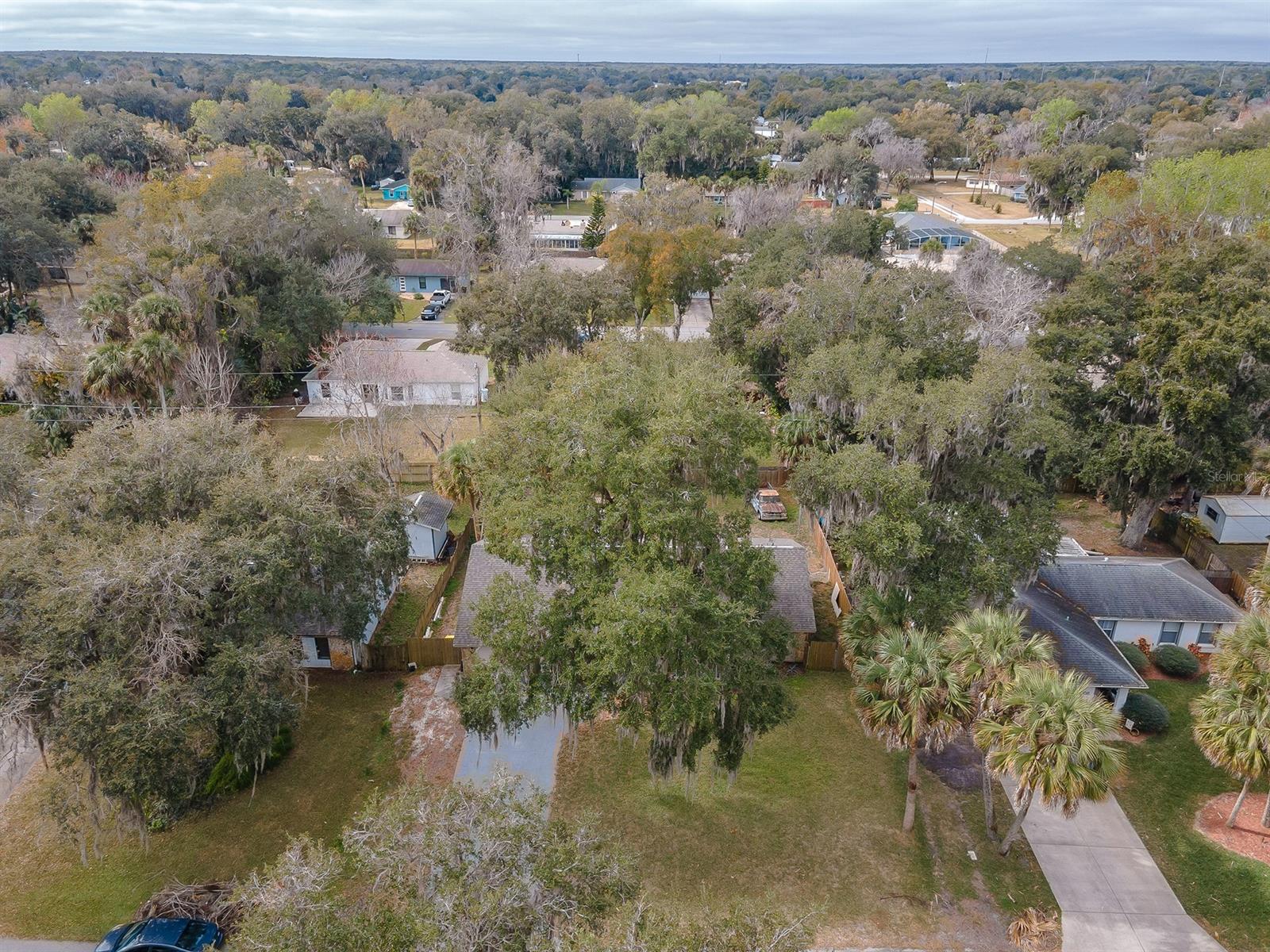 Florida Shores 01 - Residential