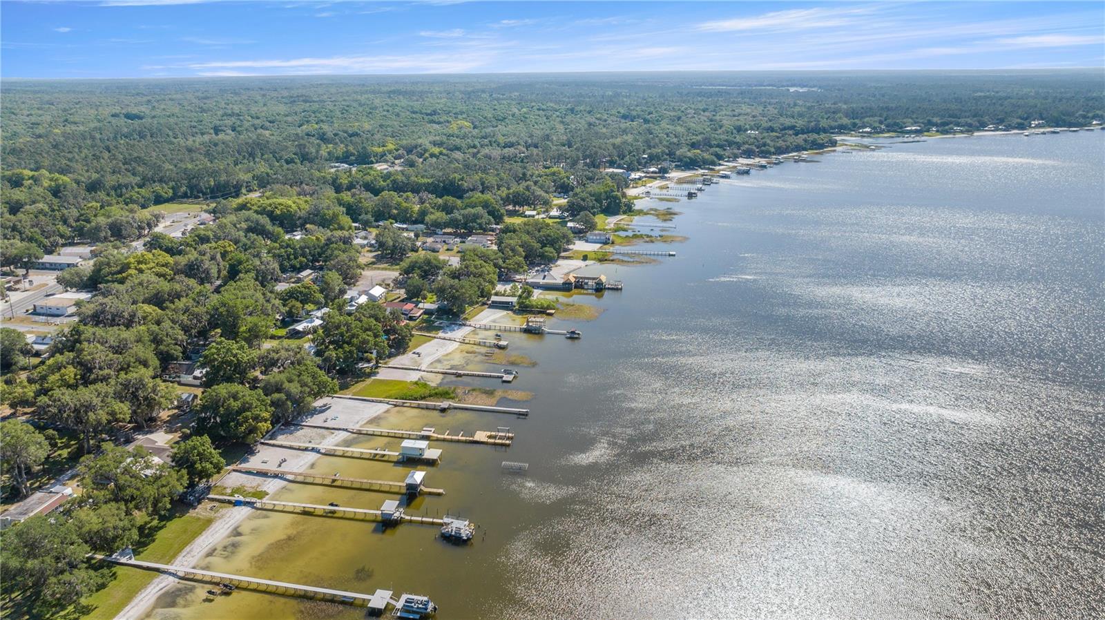 LEE DRISCOLL - Residential