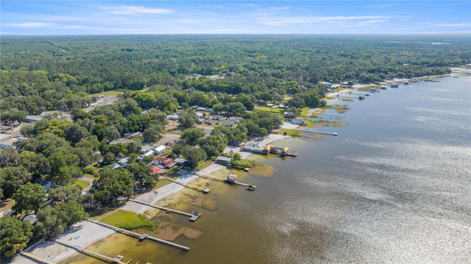 LEE DRISCOLL - Residential