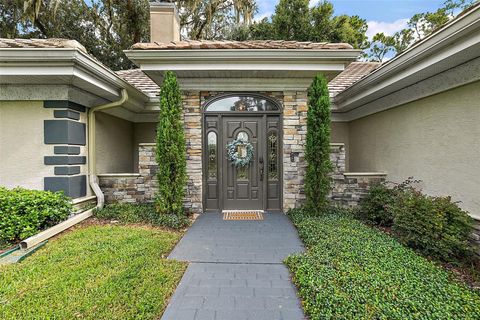 A home in MOUNT DORA