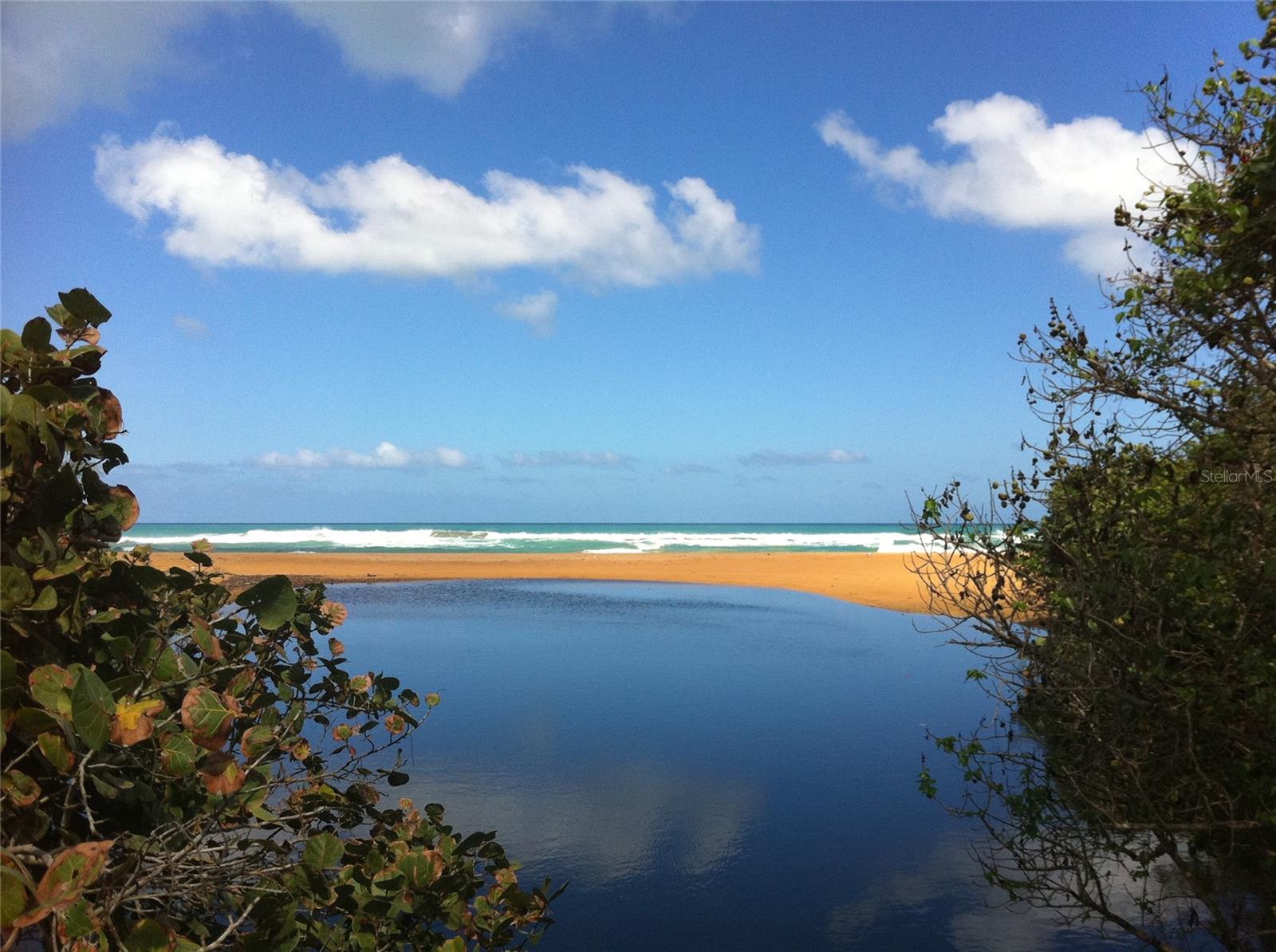 CONDO DOLPHIN TOWER-AT-EAST - Residential