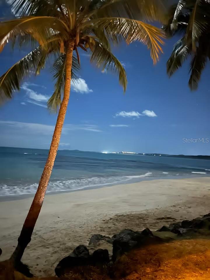 CONDO DOLPHIN TOWER-AT-EAST - Residential