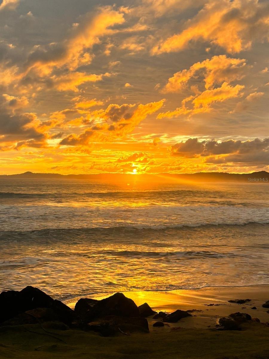 CONDO DOLPHIN TOWER-AT-EAST - Residential