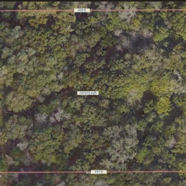 Don’t miss this rare opportunity to own 2.5 acres of wooded, dry, buildable land—or purchase both available parcels this one and S5126188
for a total of 5 acres! Enjoy the best of both worlds: peaceful country living—bring your horses and chickens—just minutes from I-4, downtown DeLand, shopping centers, restaurants, and more. This property offers endless possibilities to build your dream home, guest house, in-law suite, ADU, and still have plenty of space for your toys and outdoor fun. All surveys, environmental reports, boundary studies, and required documents are available upon request. Whether you're building a private family compound or seeking an investment opportunity, this land offers incredible potential. Main access is provided via private easement from St. Clara and from Vance Farms Ln, both recorded in the deed.
