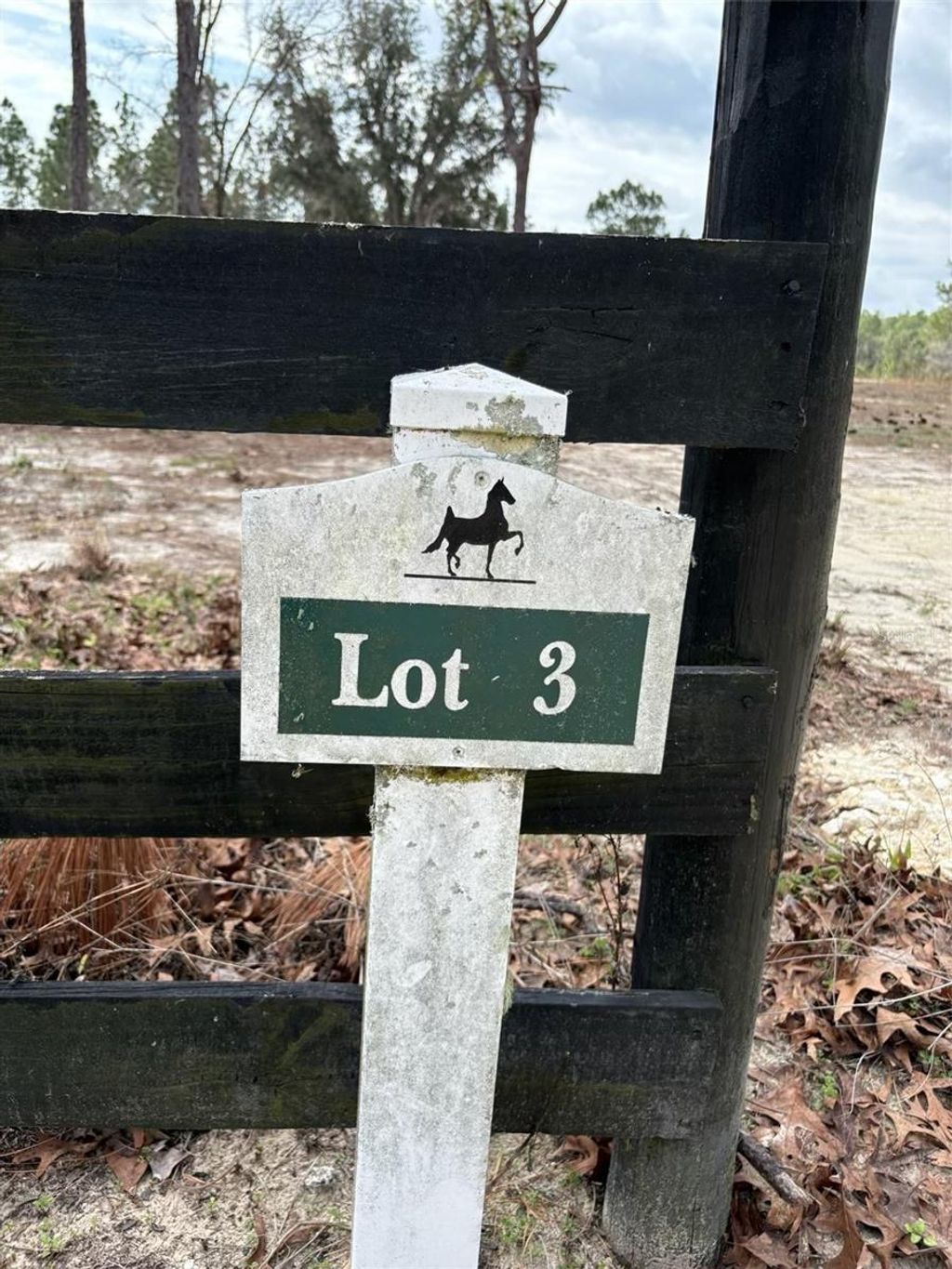 Photo of 2395 NW 81st Avenue, Wildwood, FL 34785 (MLS # G5108925)