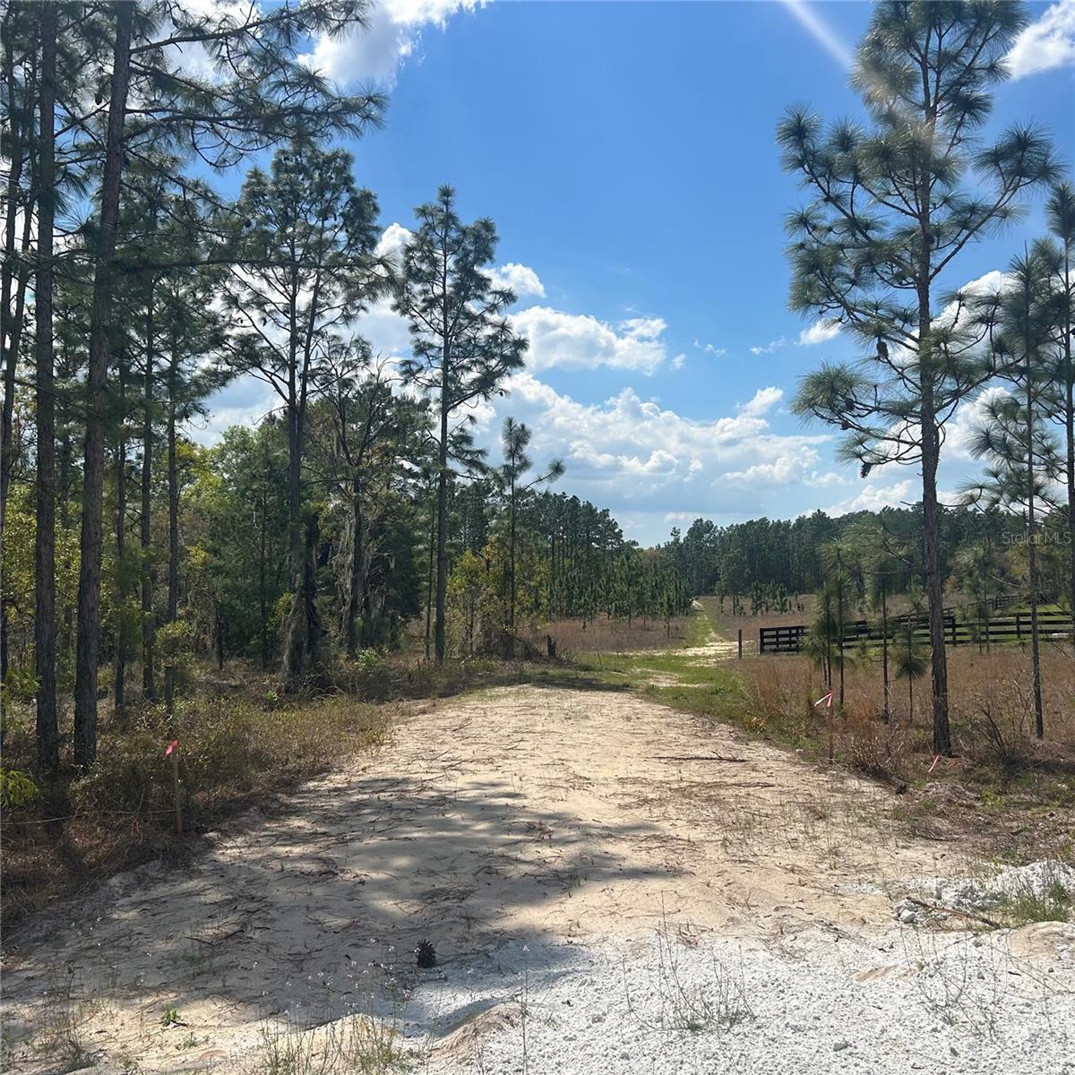 PRESERVE/OAK HILL - Land