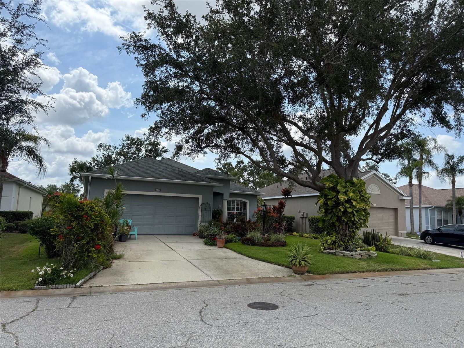 817 TALLGRASS LANE