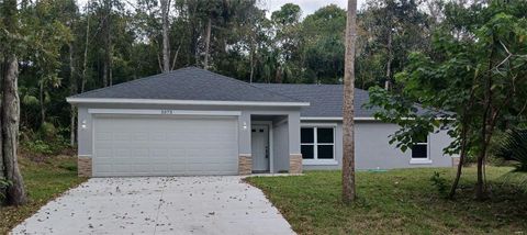5373 PARK AVENUE DE LEON SPRINGS FL 32130