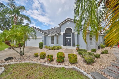 A home in SUN CITY CENTER