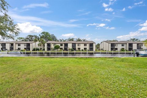 316 MANATEE LANE TARPON SPRINGS FL 34689