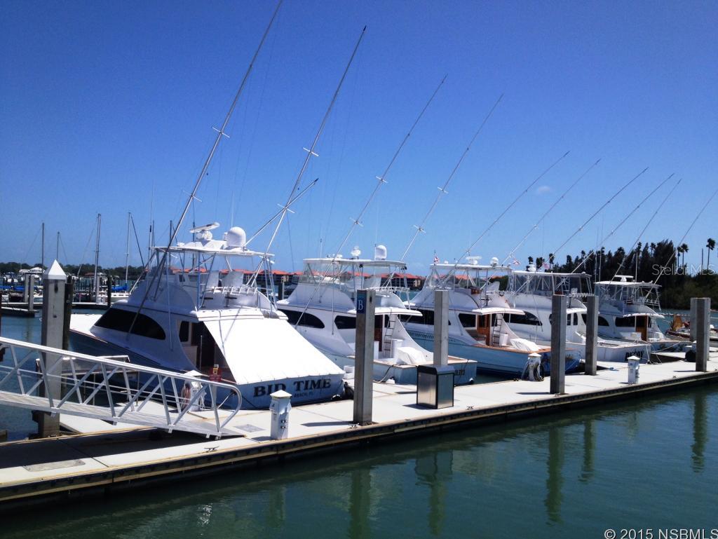 New Smyrna Mariana Storage - Land