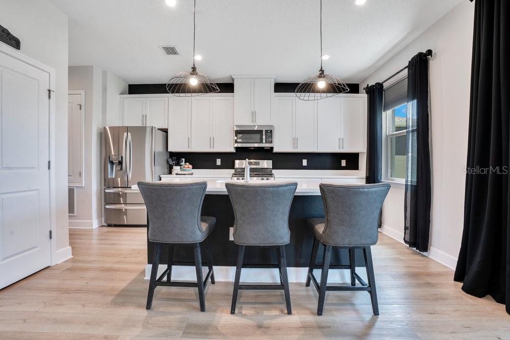 3864 CAPITAL REEF WAY