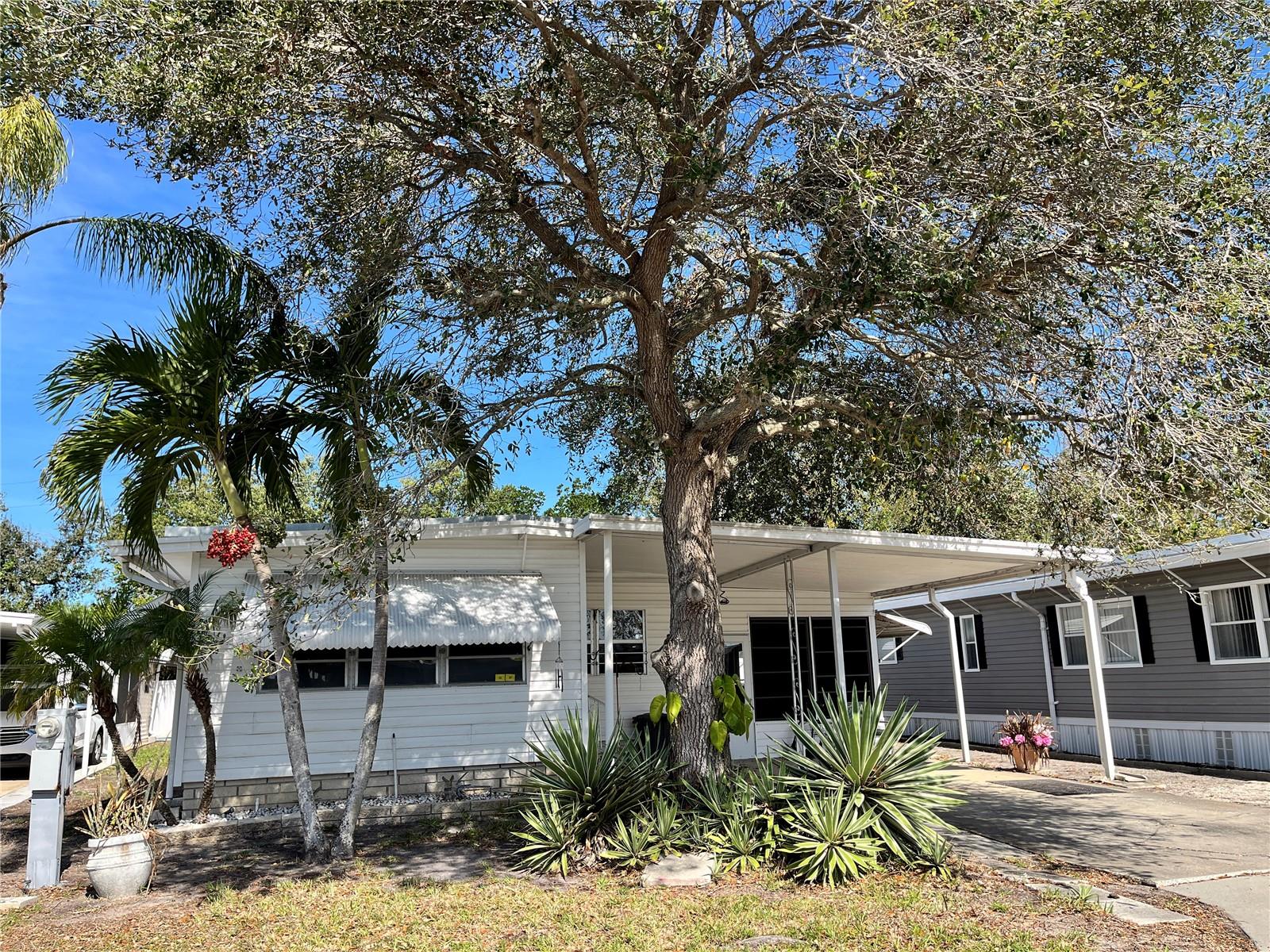 613 MOUNT PINEY AVENUE NE 693