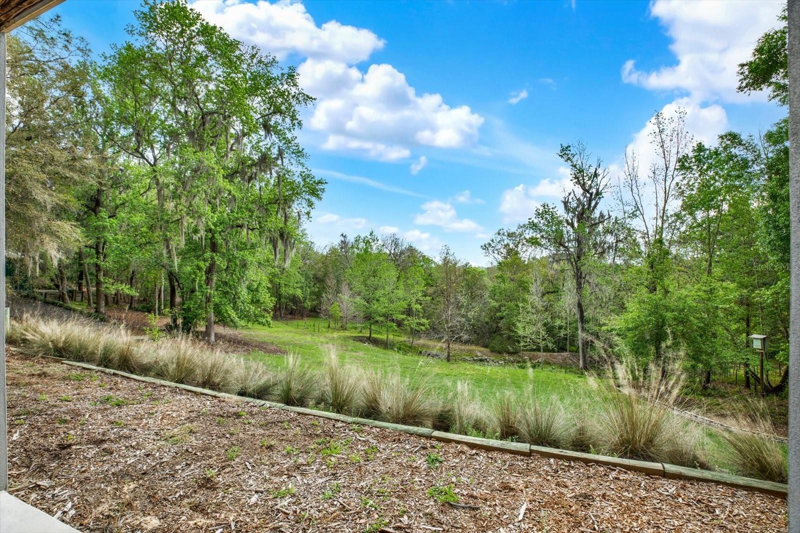SPRING LAKE - Residential