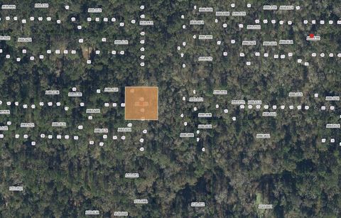 TBD UNASSIGNED HAWTHORNE FL 32640