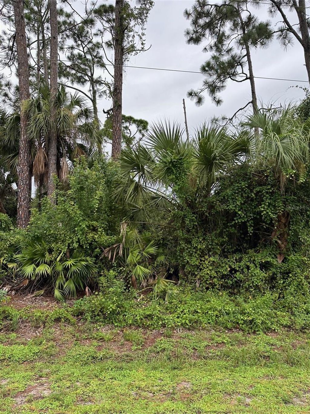 Photo of Port Charlotte, FL 33954 (MLS # C7497002)