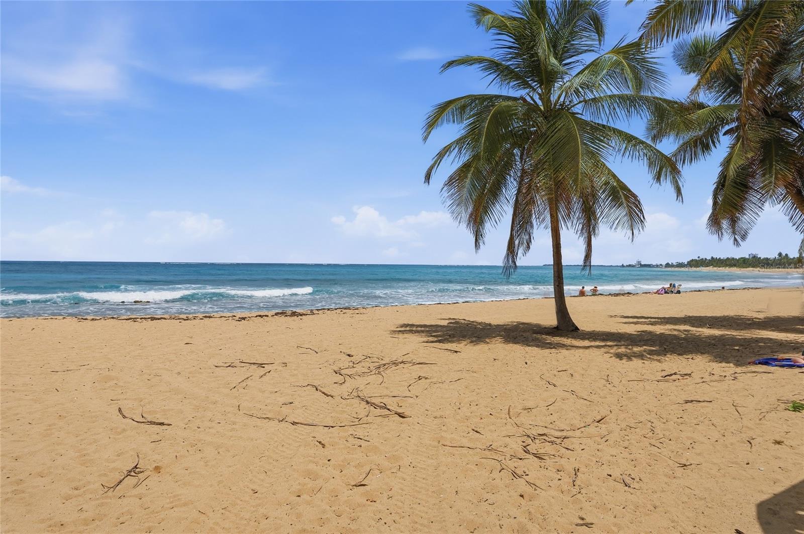 TORRE DEL MAR 801 - Residential