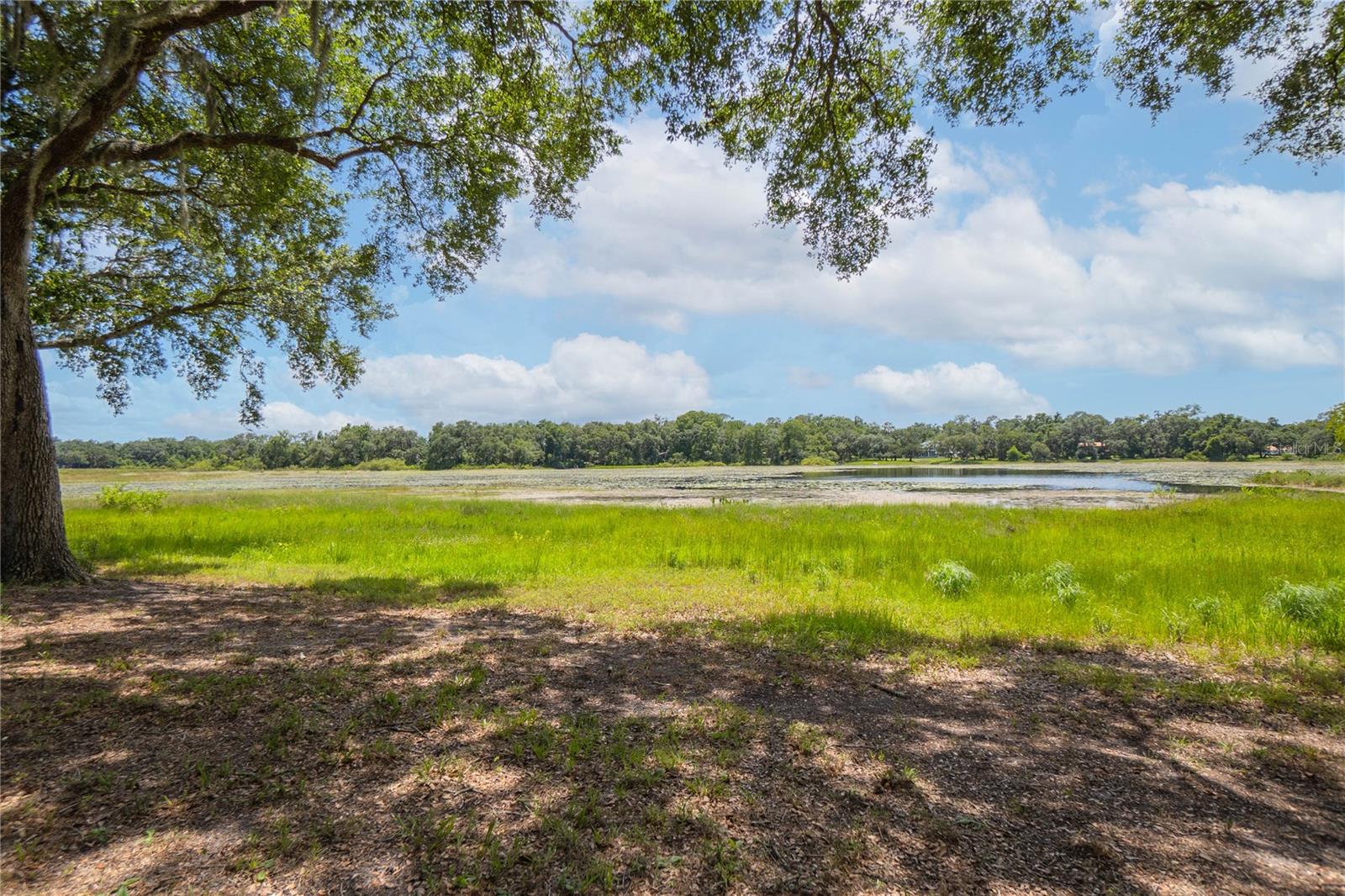 SWEETWATER POINTE - Residential