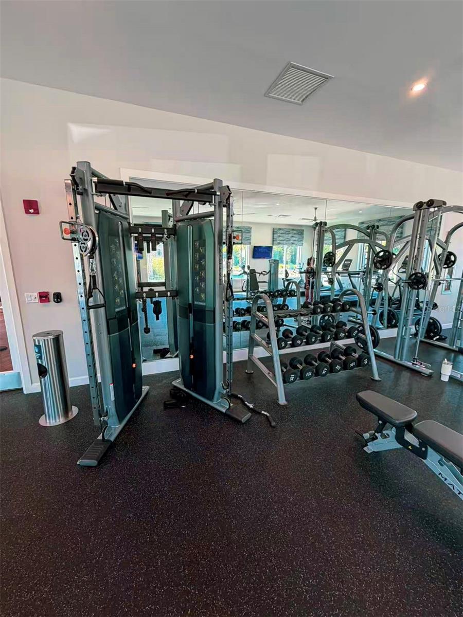 COVE AT STOREY LAKE 4 - Residential