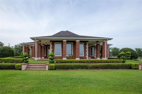 Tiny photo for 6500 NW 193rd Street, Micanopy, FL 32667 (MLS # OM691230)