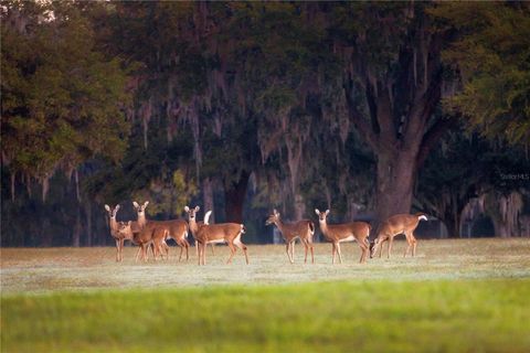 Tiny photo for 6500 NW 193rd Street, Micanopy, FL 32667 (MLS # OM691230)