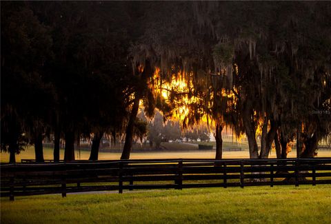 Tiny photo for 6500 NW 193rd Street, Micanopy, FL 32667 (MLS # OM691230)
