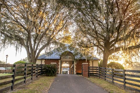 Tiny photo for 6500 NW 193rd Street, Micanopy, FL 32667 (MLS # OM691230)