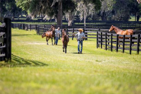 Tiny photo for 6500 NW 193rd Street, Micanopy, FL 32667 (MLS # OM691230)