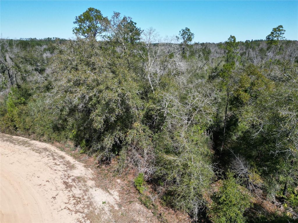 Photo of Blueberry Court, Alford, FL 32420 (MLS # GC537781)