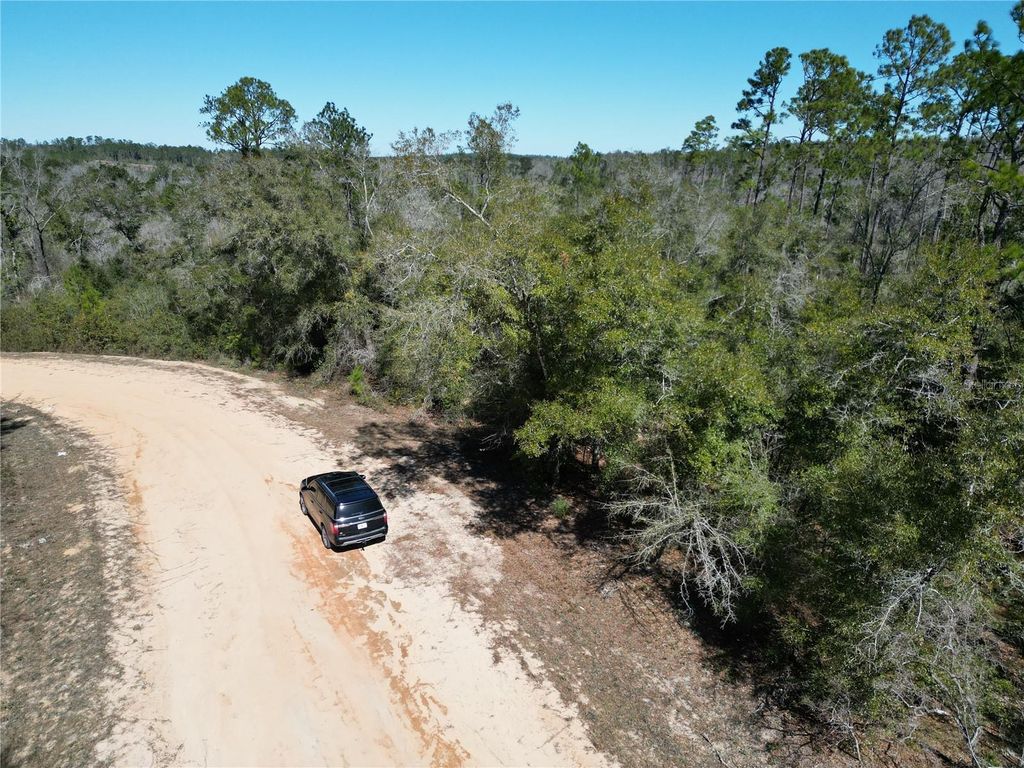 Photo of Blueberry Court, Alford, FL 32420 (MLS # GC537781)