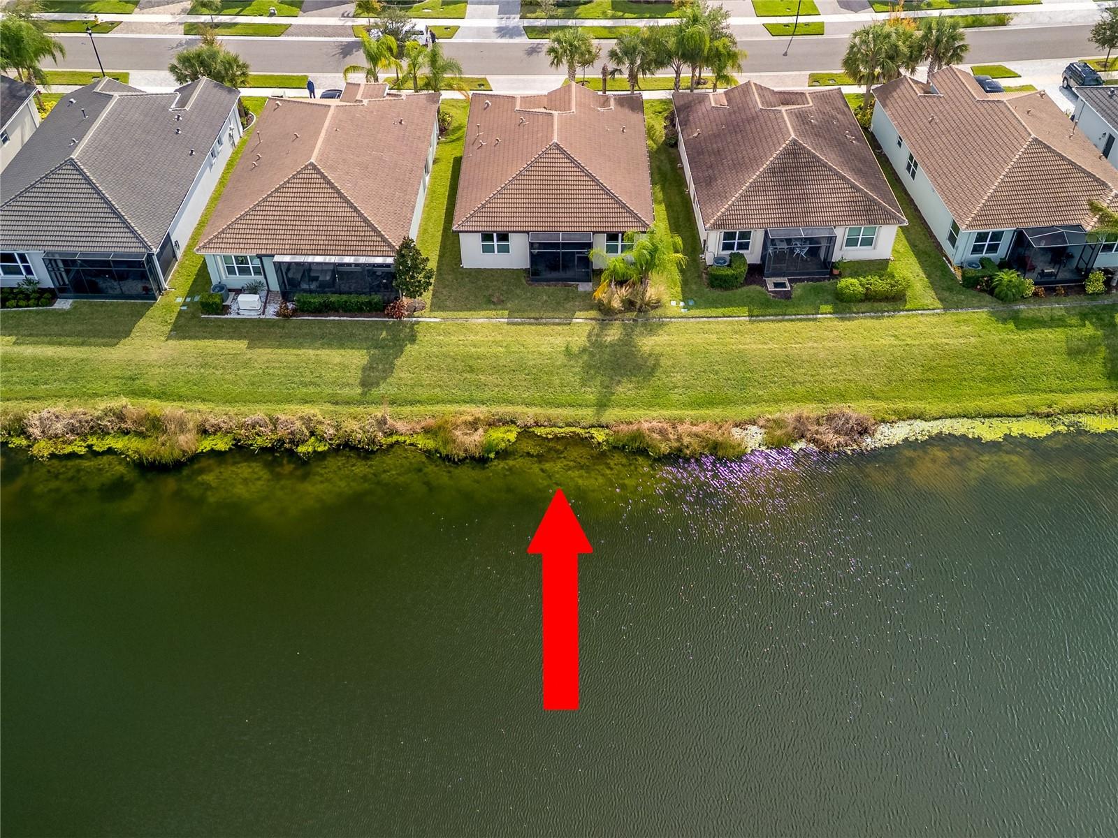 VALENCIA DEL SOL PH 1 - Residential