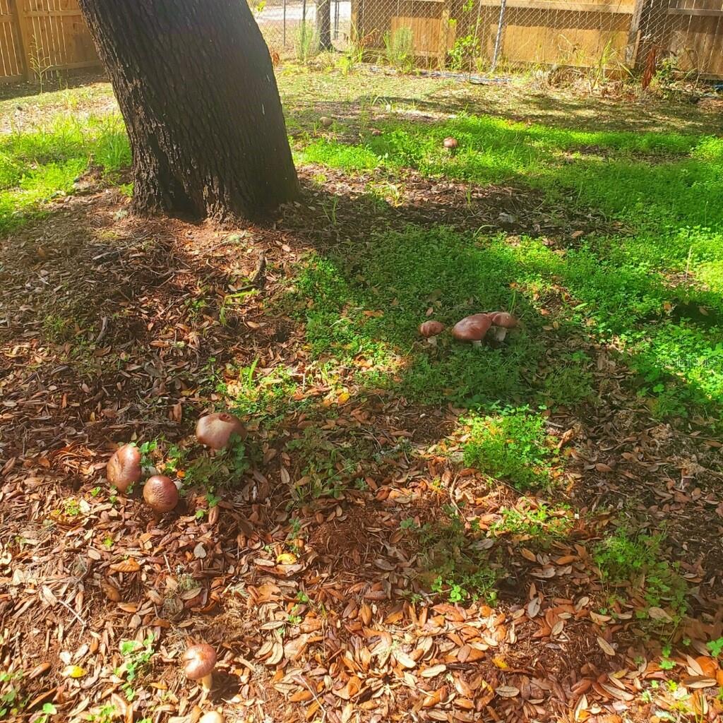 KERSHORES UN F - Residential