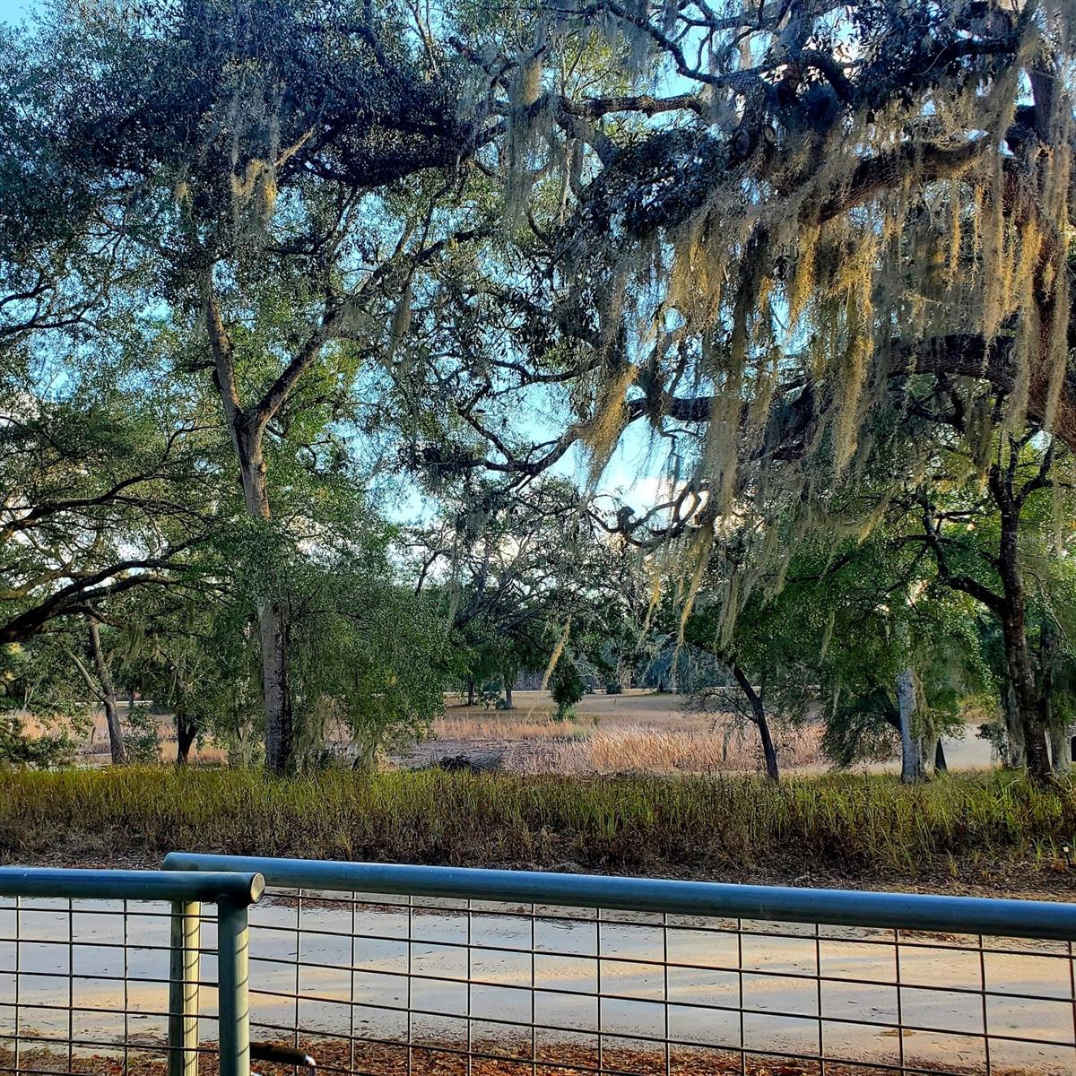 KERSHORES UN F - Residential