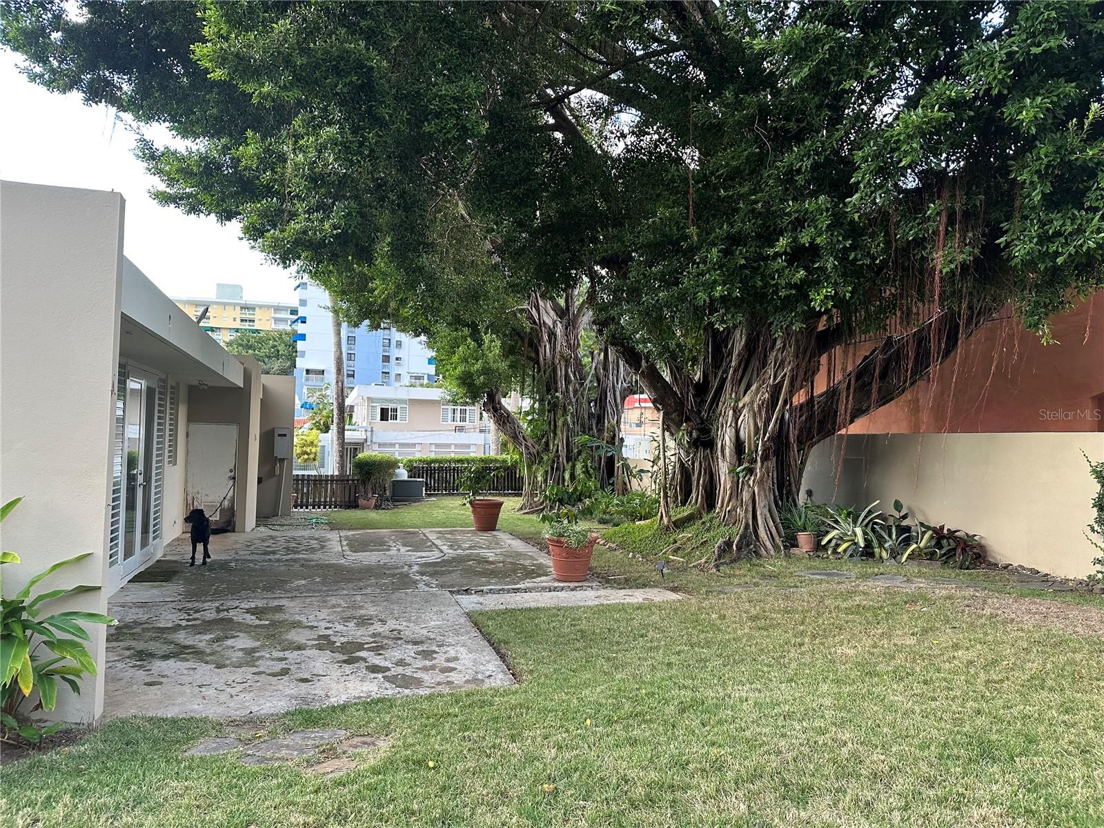 SAN PATRICIO - Residential