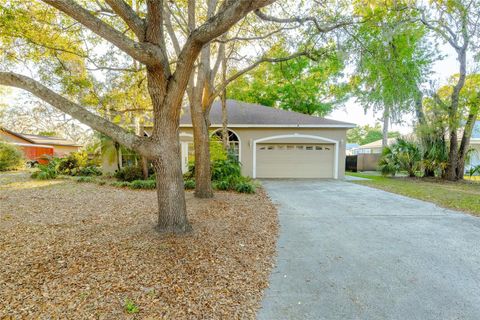 Photo of 8508 Dee Circle, Riverview, FL 33569 (MLS # TB8495412)