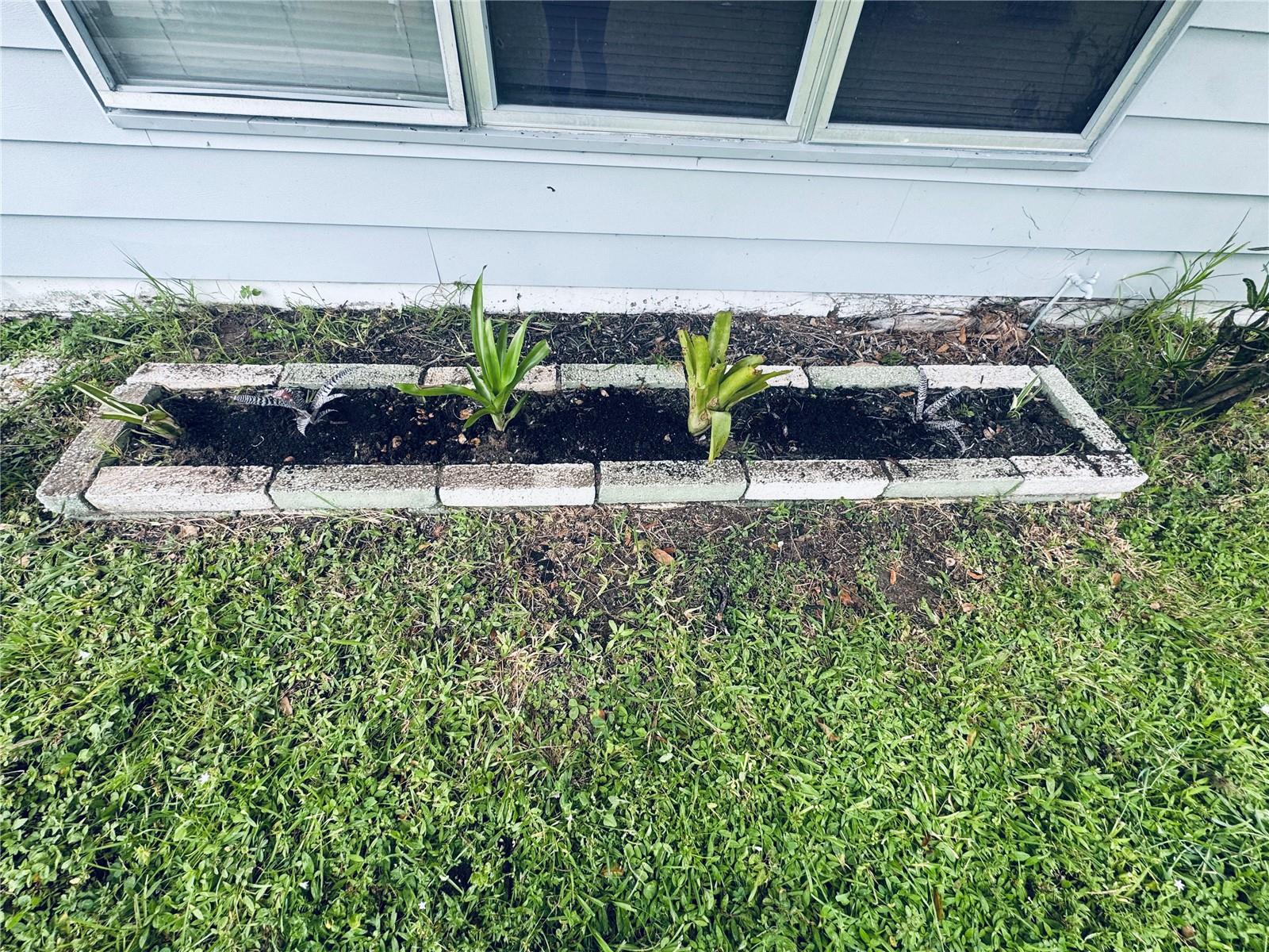 PUNTA GORDA - Residential