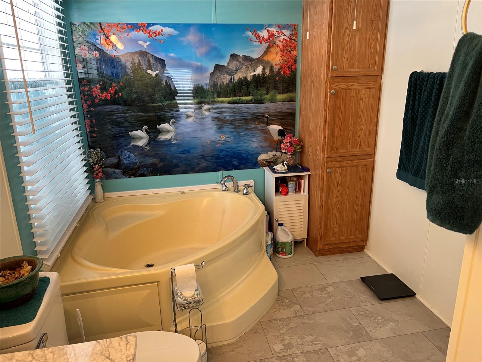 LAKE FANTASIA PLATTED SUB - Residential