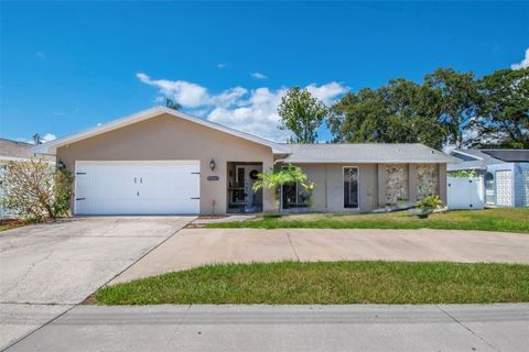 13263 86TH AVENUE SEMINOLE FL 33776