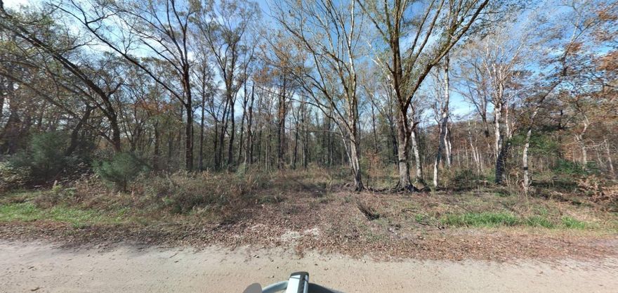 Explore the potential of 1.14 acres of buildable land at 10555 Underwood Ave in peaceful Hastings, FL. This beautiful vacant lot offers a blank canvas for your next project—whether you’re envisioning a custom-built home, hobby farm, or private getaway. Zoned Open Rural, the property supports a wide range of residential and agricultural uses, and offers the freedom to design your ideal lifestyle without HOA restrictions. Located in a quiet rural setting, you’ll enjoy privacy and natural surroundings while remaining close to local schools, shopping, and other essential amenities. With open space and lush greenery, this property is perfect for outdoor living and creating a serene retreat. Electricity is nearby, and other utilities may be accessible—buyers should verify availability with local providers. With growing interest in the Hastings area, this land offers excellent long-term value and investment potential. Don’t miss out on this opportunity to secure a scenic and versatile piece of Florida land.