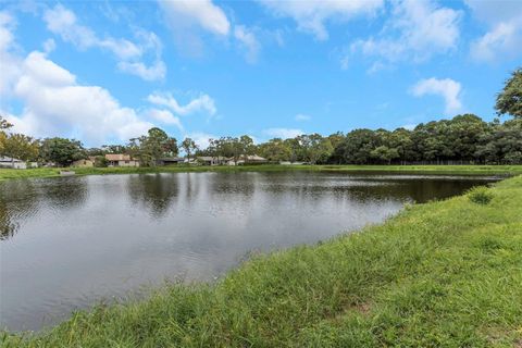 A home in PALM HARBOR